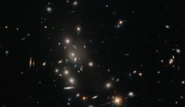 Hubble Captures Galaxy Cluster - NASA Science