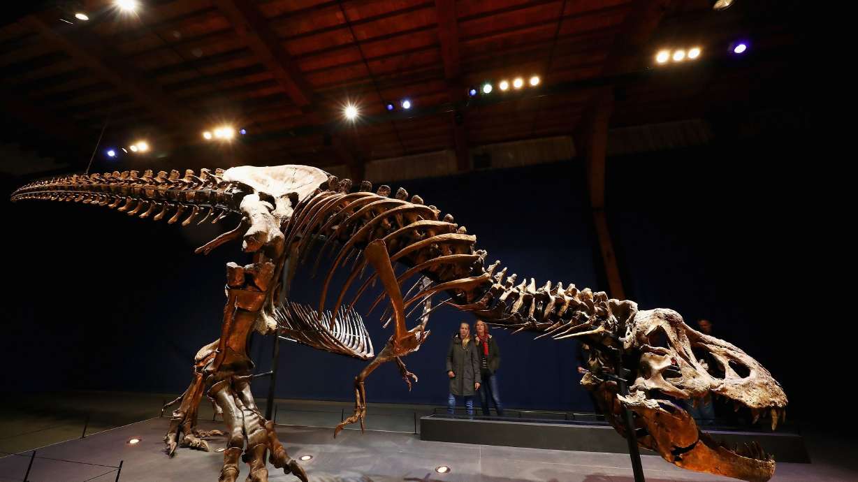 Why did T. rex have tiny arms? A new study may finally have the answer