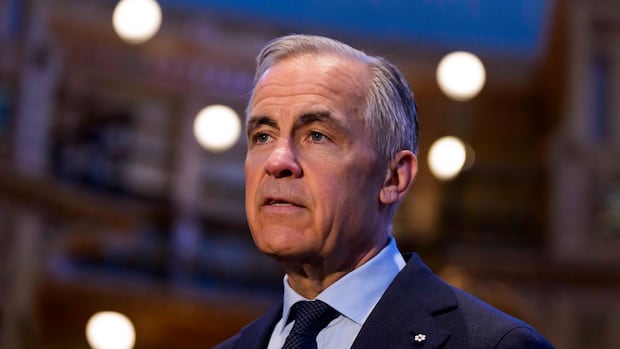Carney speaks to Israeli president about 'appalling treatment' of flotilla activists