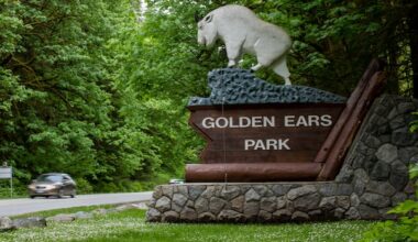 2 new buses will service Metro Vancouver regional parks this summer
