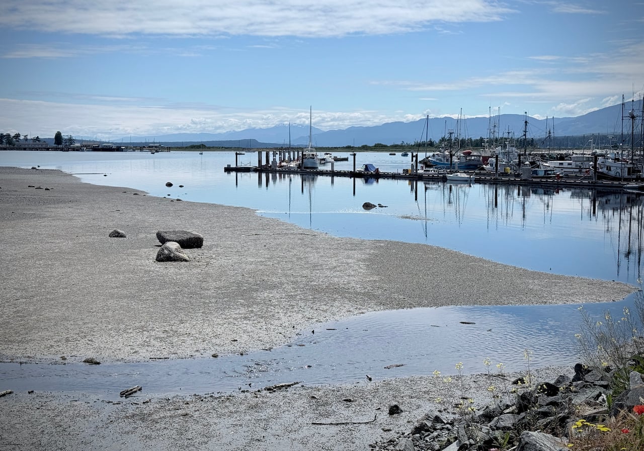 A marina filled with sailboats.