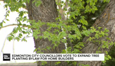 Edmonton city councillors vote to expand tree planting securities for home builders