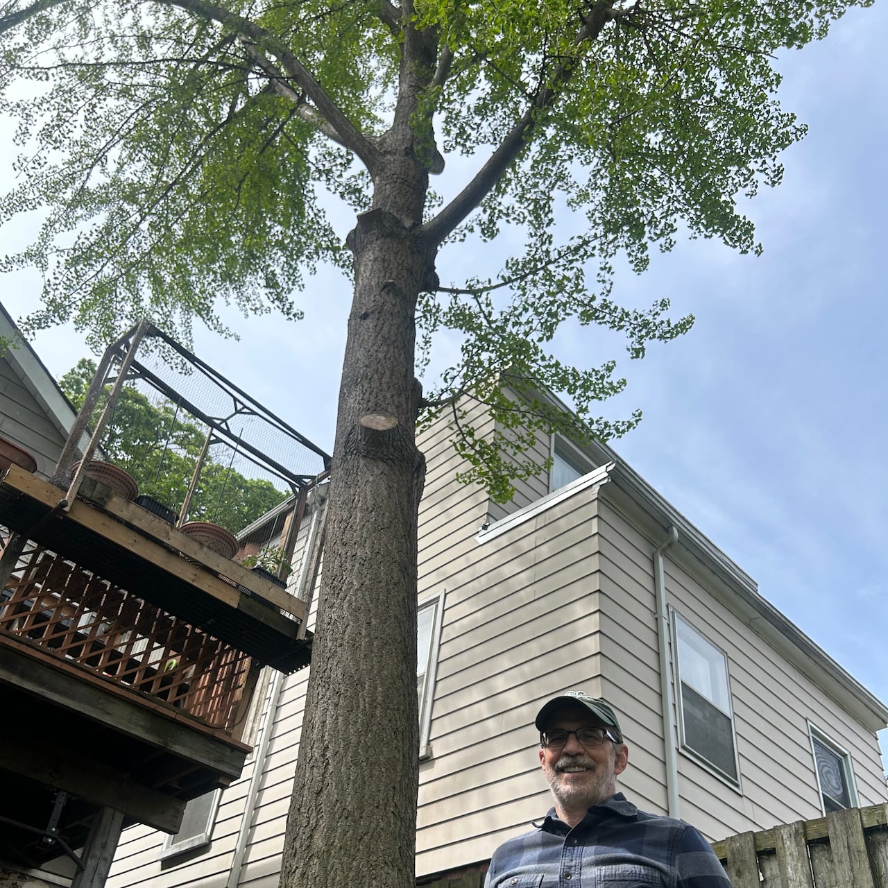 Alan Page, in his Myrtle Avenue backyard in the Jones-Gerrard area. Earlier this year he applied for a permit to have the ginkgo tree removed because of the stench every fall, but city staff turned him down. His appeal will be heard Thursday.