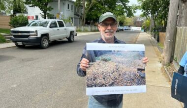 For some residents across Toronto, this tree's fruit is anything but sweet