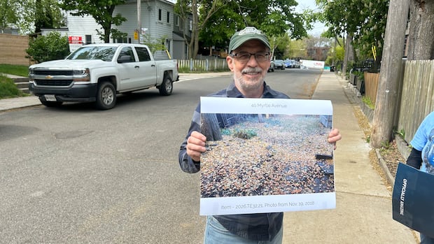 For some residents across Toronto, this tree's fruit is anything but sweet