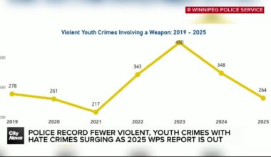 Winnipeg records drop in violent crime, homicides in 2025: police report