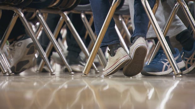 Calgary school trustee worries students will feel ‘unseen’ after diversity and inclusion cut as core goals