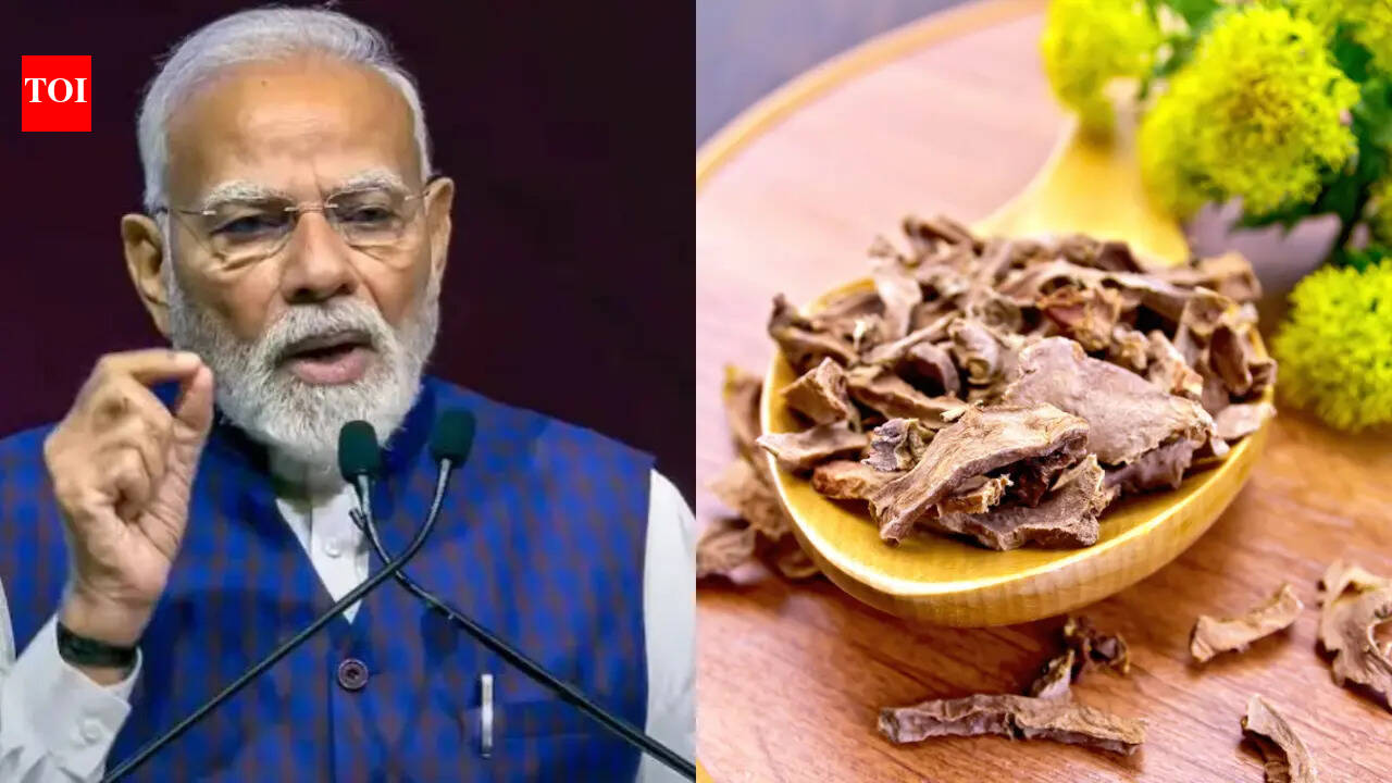 What is Solo, that PM Narendra Modi called modern-day 'Sanjeevani': 4 ways to include it in daily meals