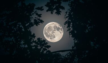 When To See A Rare ‘Blue Moon’ Rise At Dusk This Weekend