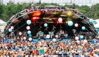 Edmonton's folk festival remains fiscally sound thanks to loyal fans, producer says