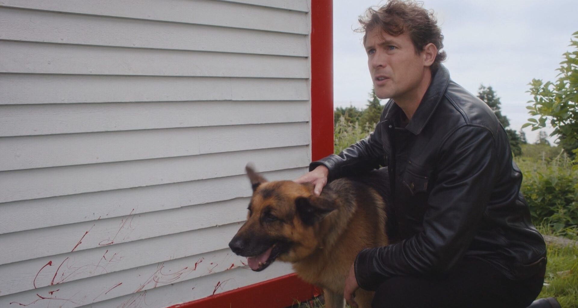 'Hudson & Rex' season 9 to see return of actor John Reardon