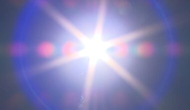 Extreme heat in Sask. will last for days. Here's what you can do to cope