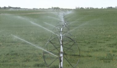 Alberta water level forecast looking promising after strong mountain snowpack