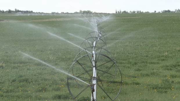 Alberta water level forecast looking promising after strong mountain snowpack