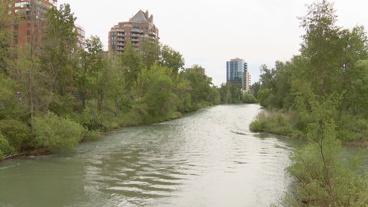 A river lined by trees with an overcast sky.