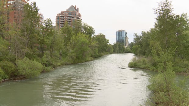 Banff, Calgary urge caution along Bow River as water levels rise