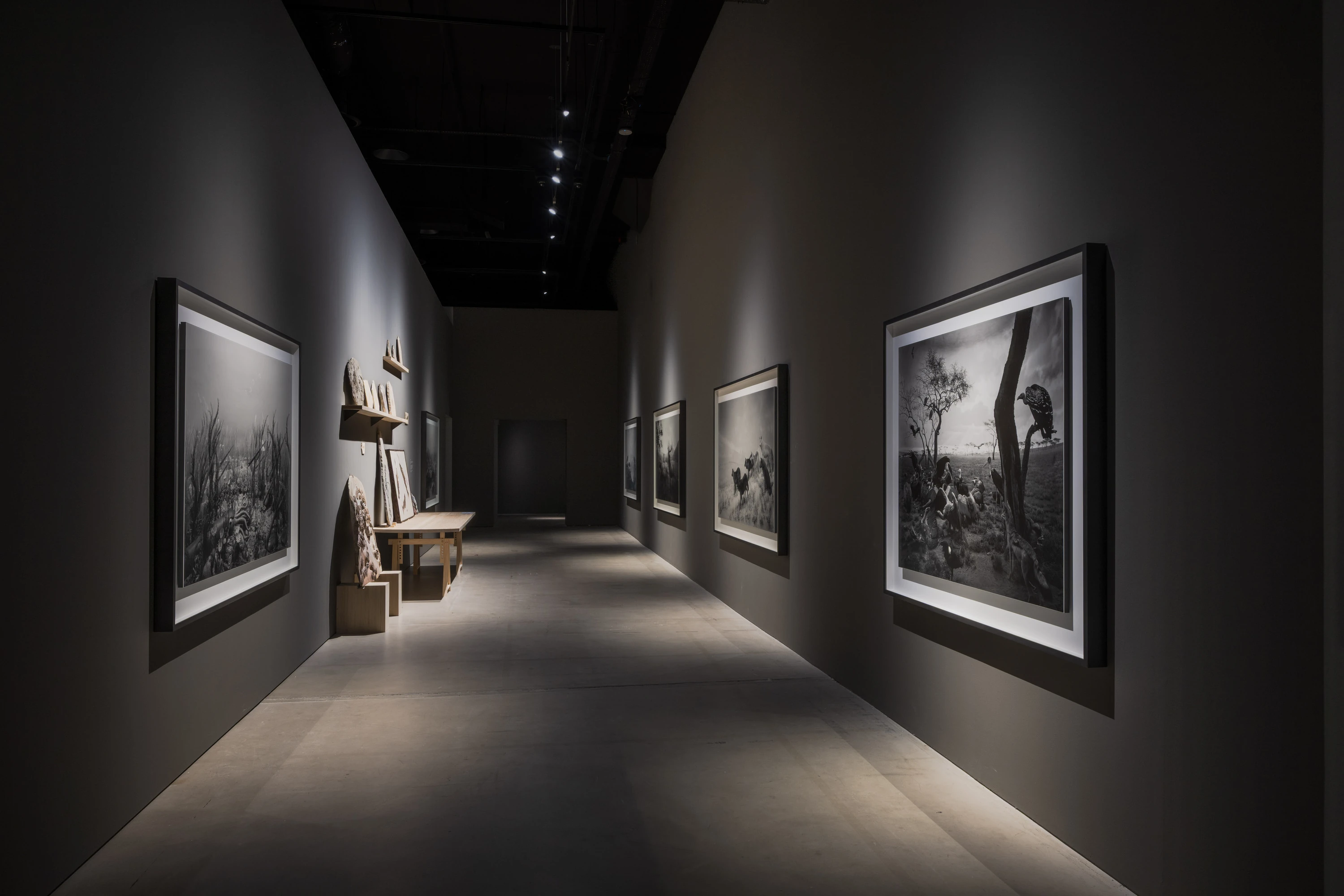Installation view of Hiroshi Sugimoto’s Dioramas (1975 – 2025)