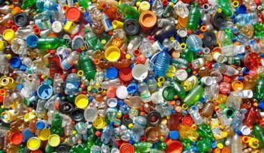 Rallying micro-cap advances Calgary plastics recycling plant | 2026-05-28 | Investing News