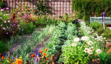 12 ways to make your garden more climate resilient