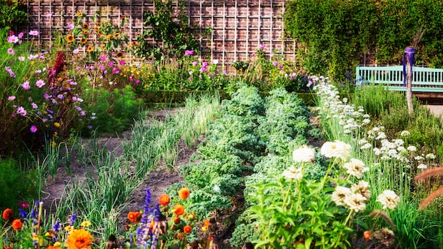 12 ways to make your garden more climate resilient