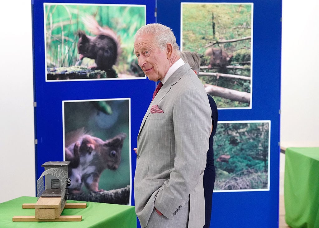 A person standing in front of a display of pictures of squirrels looks to their left.