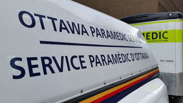 Man in critical condition, teenager injured in Mooney's Bay stabbing on Saturday night