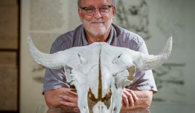 'The perfect trap': Archeologist reflects on decades at Head-Smashed-In Buffalo Jump