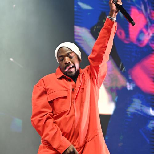 Ray J gets knocked out during celebrity MMA match - Music News