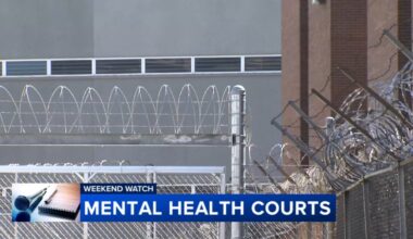 Investigation takes in-depth look at Illinois' mental health courts