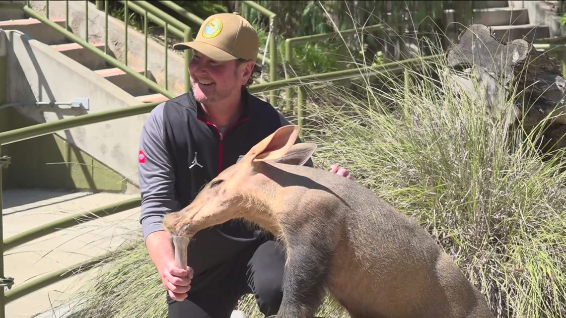 Former NASCAR driver visits San Diego Zoo to promote upcoming race