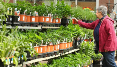 How Calgarians can guard their garden against anything the summer may bring