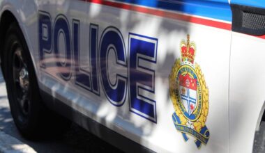 Two-year-old dies after being pulled from Ottawa River: police