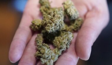 Edmonton cafe hopes to lawmakers loosen rules in selling cannabis on site