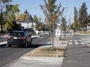 New bike lanes west of 97 Street along 132 Avenue have reduced a four lane road to a two lane road, in Edmonton Friday Oct. 3, 2025. The change has left some residents with no parking in front of their homes.