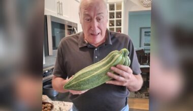 New app pairs ‘orphaned’ green thumbs with unused yards