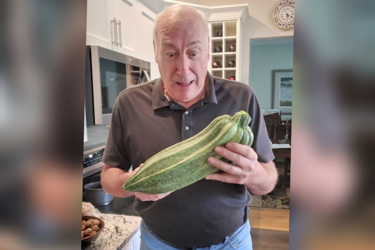 New app pairs ‘orphaned’ green thumbs with unused yards