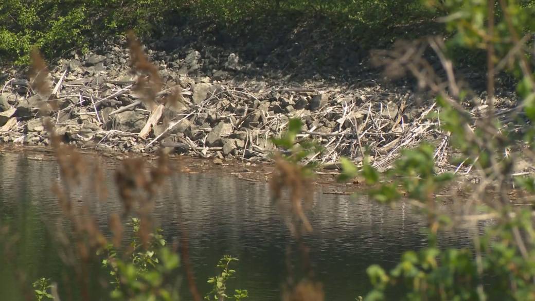 Click to play video: 'Early warning signs of summer drought in parts of B.C.'