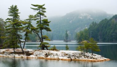 Prime: Jon Butler’s La Cloche state of mind