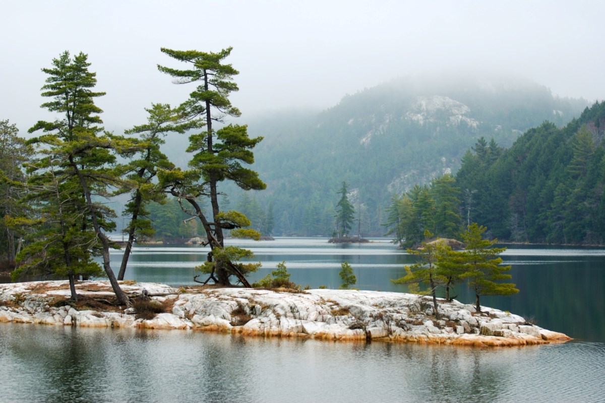 Prime: Jon Butler’s La Cloche state of mind