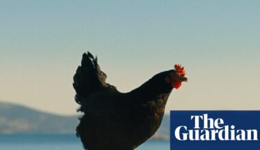 ‘Somehow you become the chicken’: inside the film about people-smuggling told through the eyes of a hen | Movies
