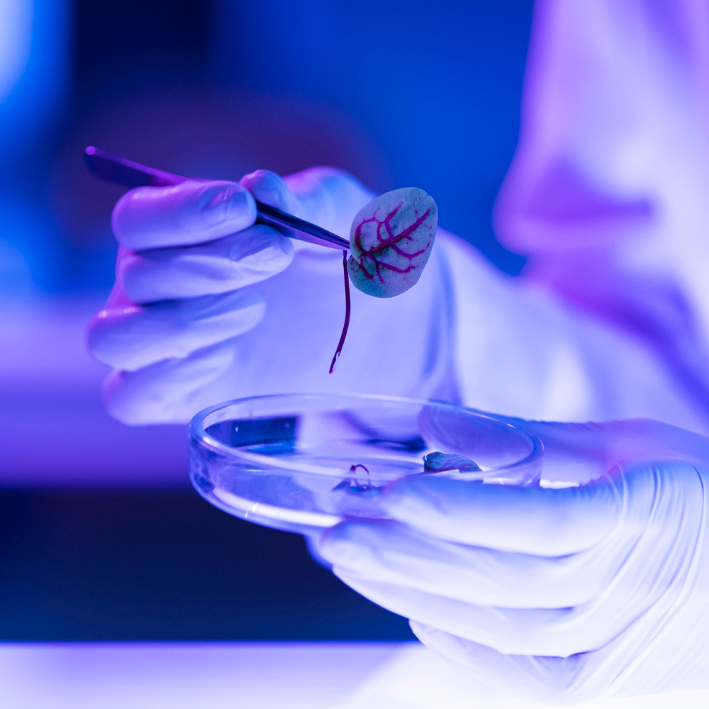 Google has launched a $10 million REPLIQA programme to apply quantum computing and AI to life sciences.