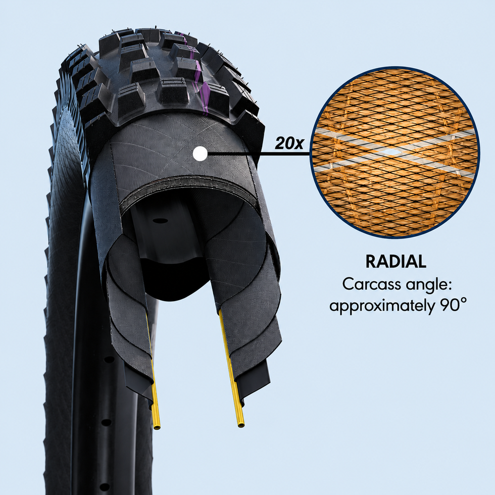 Cross-section of a tire showcasing its construction and design features.