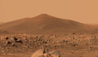 A million people on Mars, a billion SpaceX shares: Inside Elon Musk’s peculiar performance-based bonuses