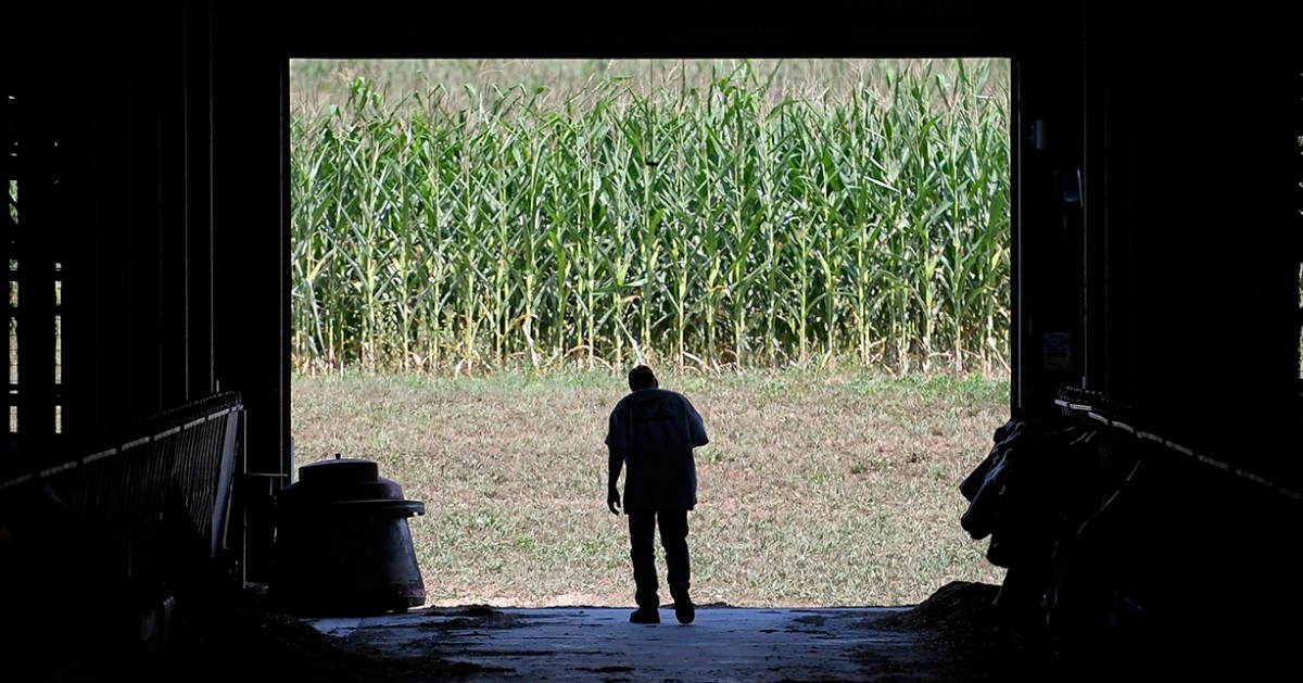 Here’s why food prices will be a major issue in November