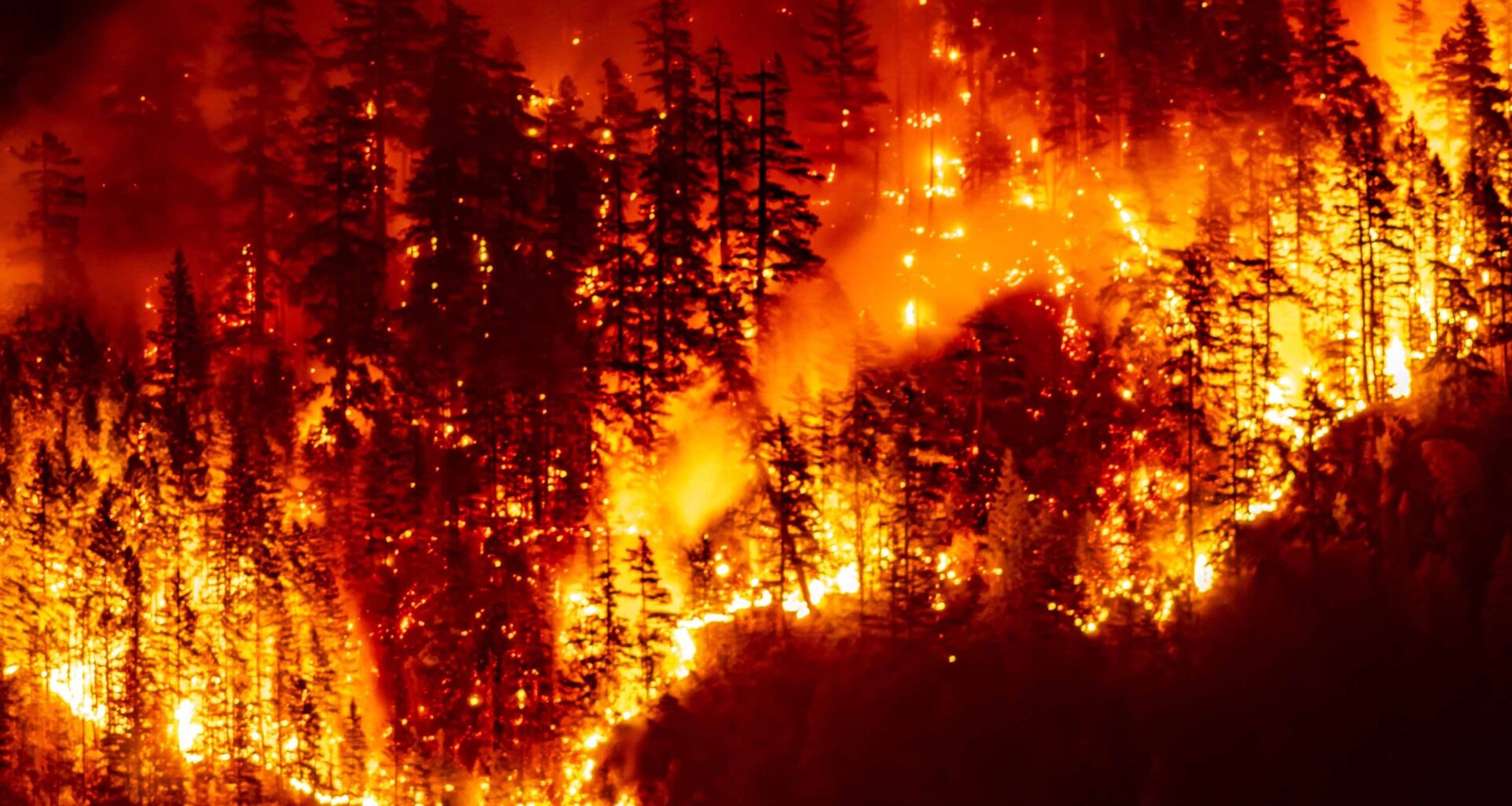 Wildfire modelling gap costs Canadian insurers and investors