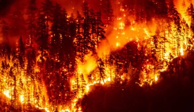 Wildfire modelling gap costs Canadian insurers and investors