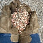 Fertilizer with nitrogen, phosphorus and potash held by a person wearing gloves. Photo: John Greig