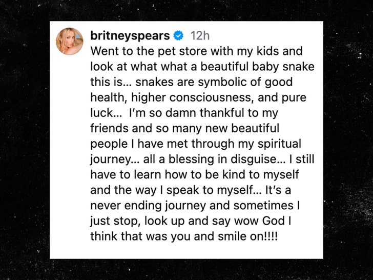 britney spears snake insta 3