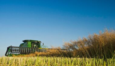 Canadian canola crush sets April record