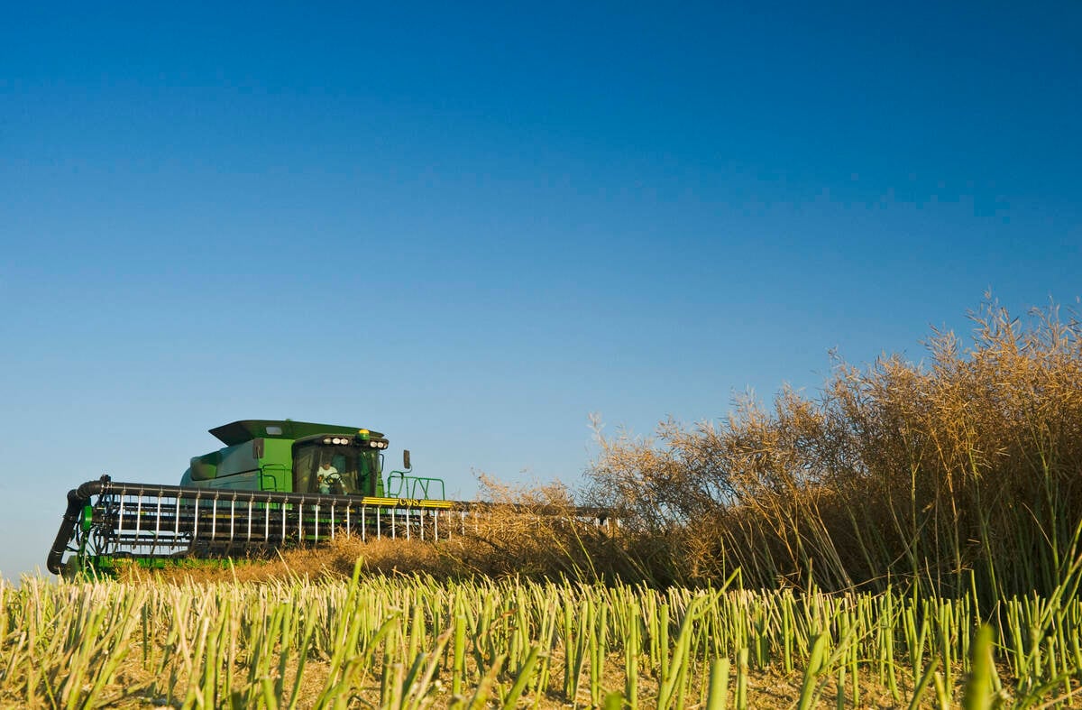 Canadian canola crush sets April record